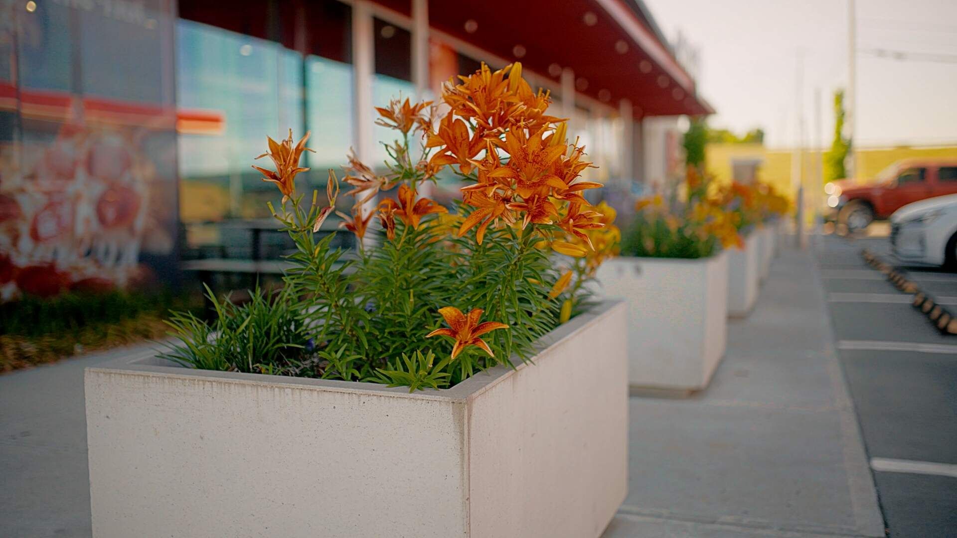 Haller's Landscaping professional field execution