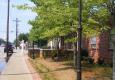Hardscapes