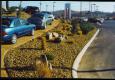 Hardscapes