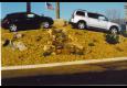 Hardscapes