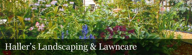 Hallers Landscaping and Lawncare